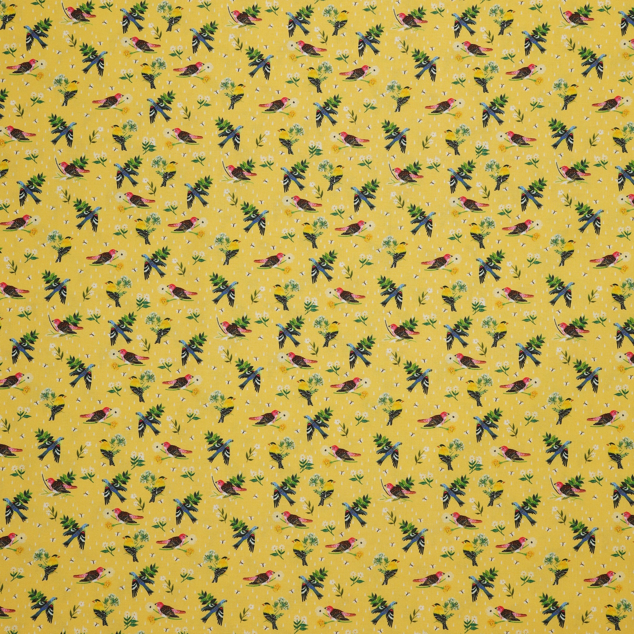 A Prairie Heart Fabric Collection - Morning Birdsong Light Honey - Image 2