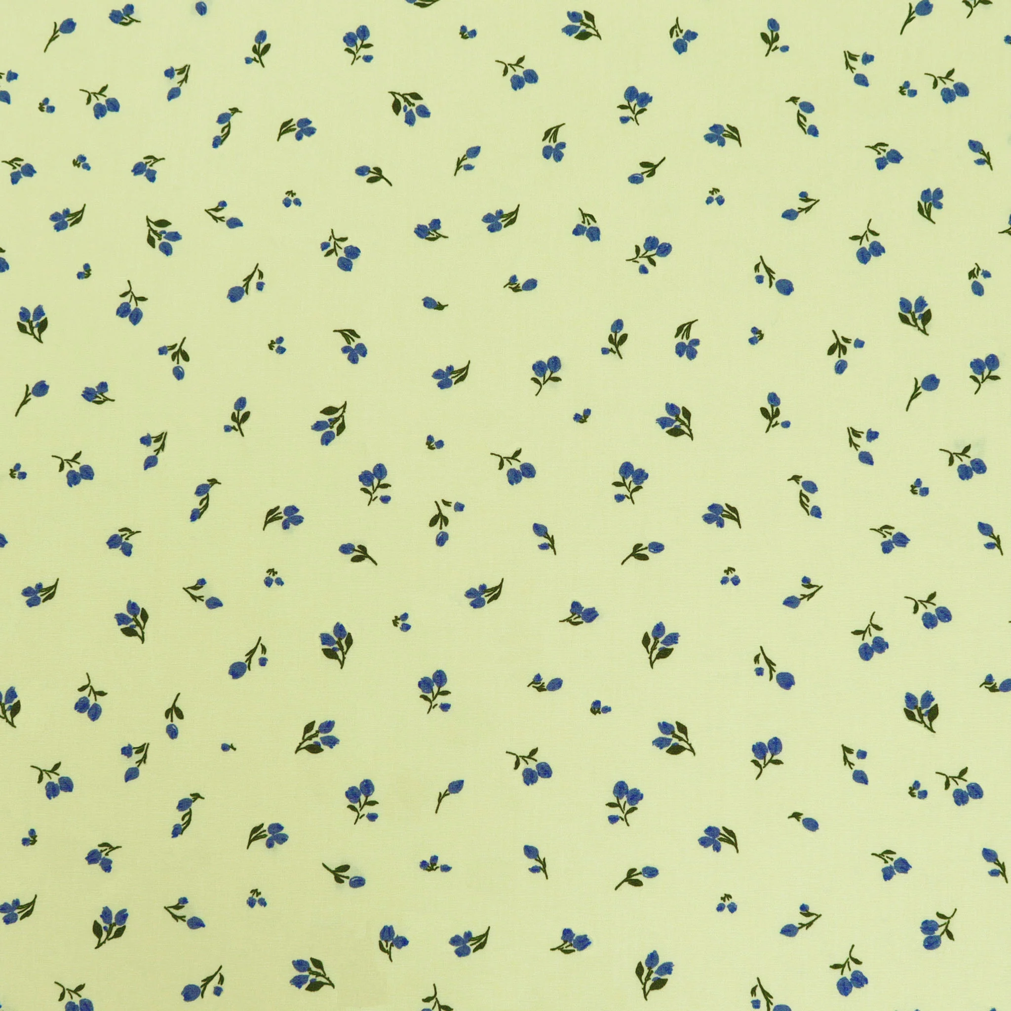 A Year in Petals Fabric Collection - Blue Ridge Buttercup