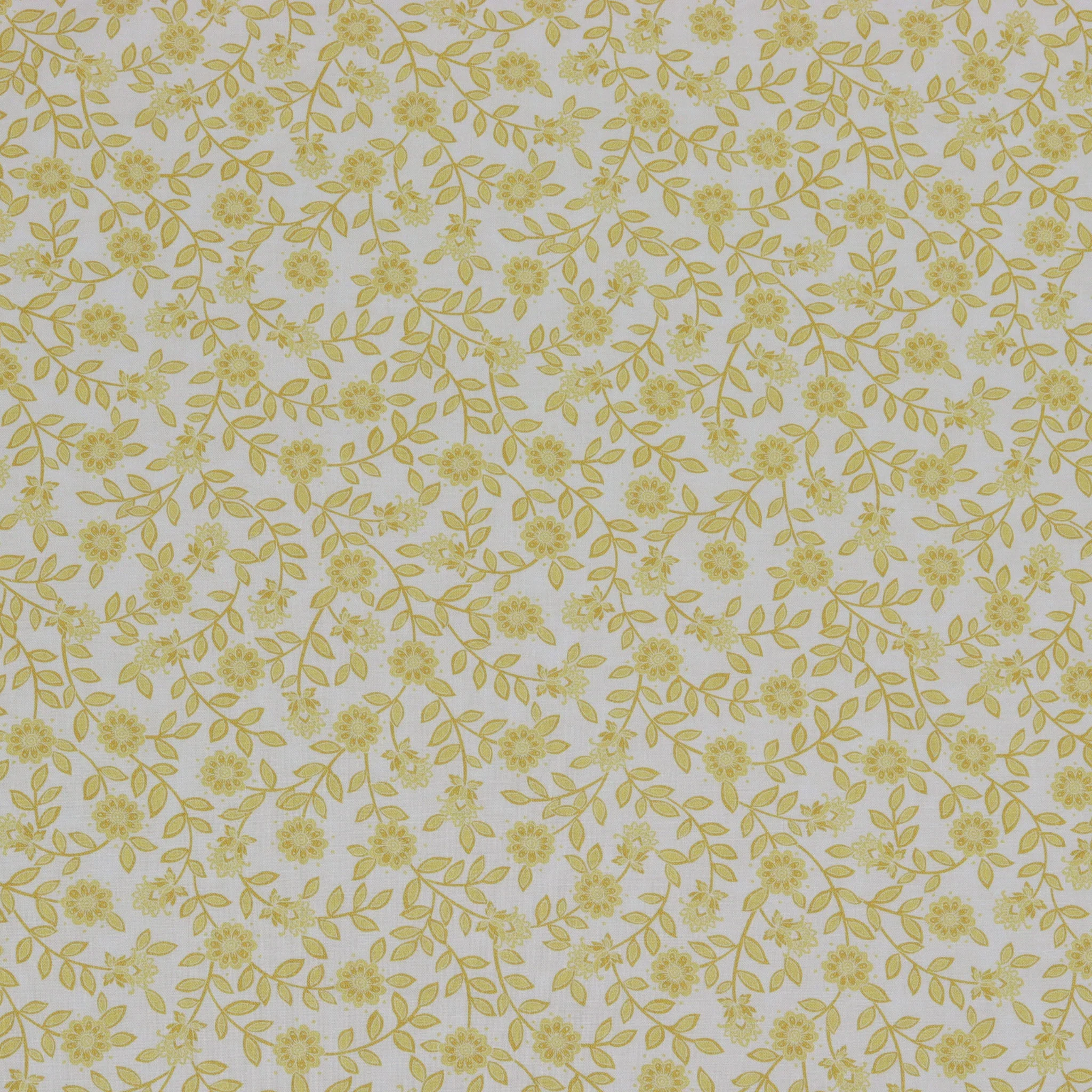 Backings & Basics 108" Wide Quilt Backing Fabric Collection - Field Floral Honey