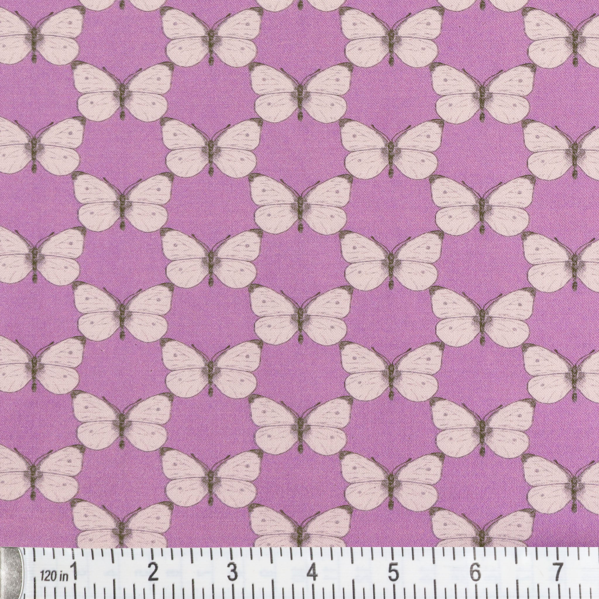 Bee Haven Fabric Collection - Cabbage Butterfly Medium Petal - Image 2