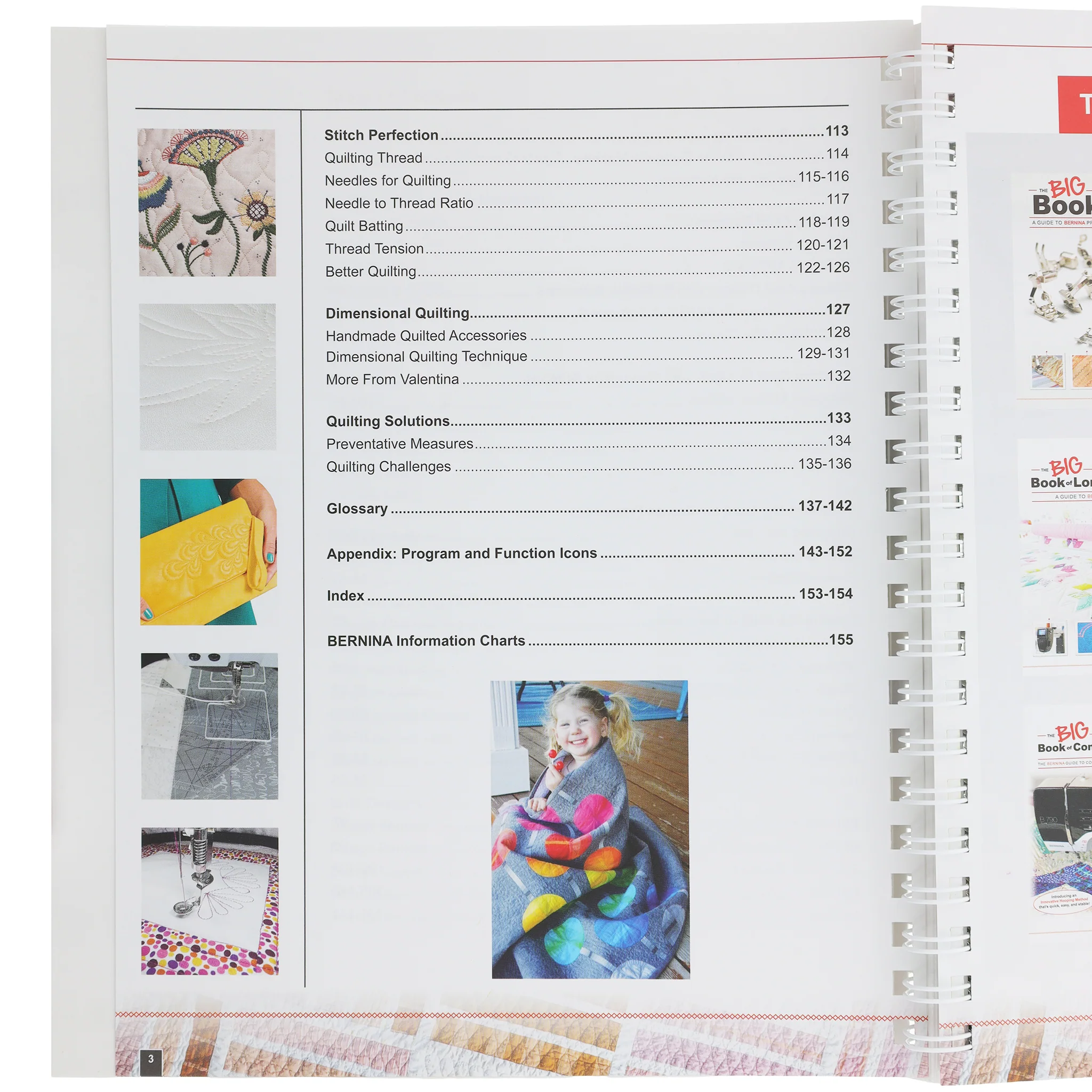 Bernina BIG Book of Computerized Quilting - Image 4