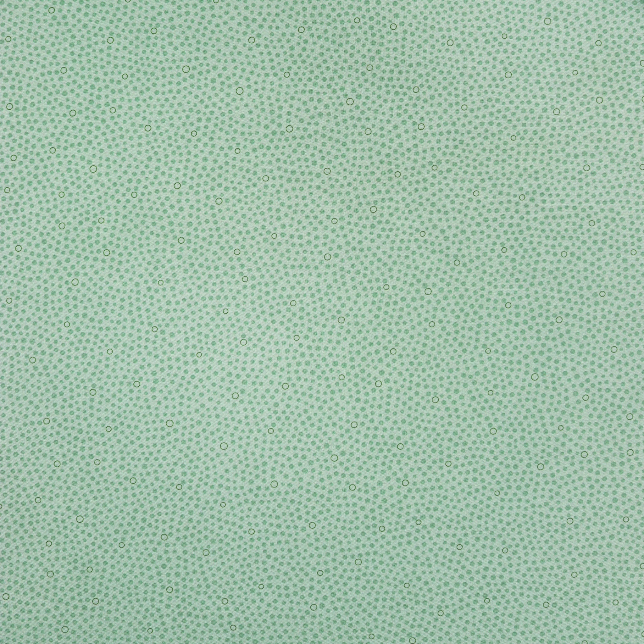 Bird Song Fabric Collection - Bird Seeds Green