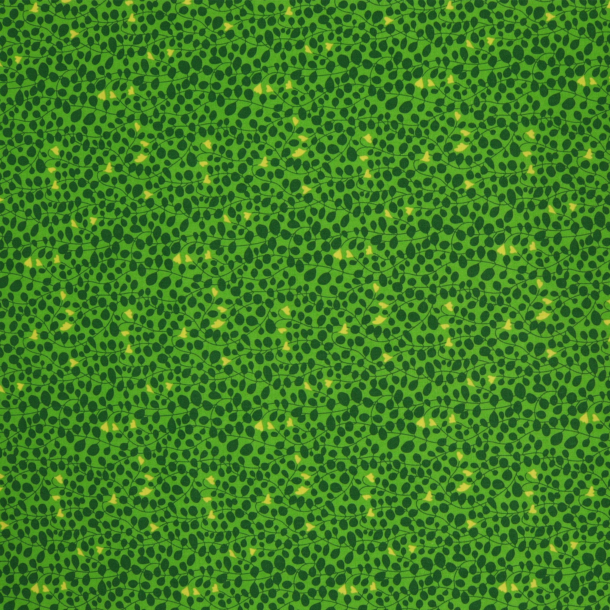 Blooming Color 2 Fabric Collection - Caroline Green