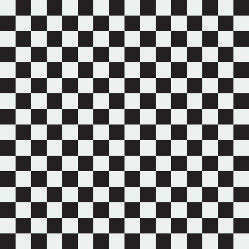 Checkered Basics Fabric - Silver on Black