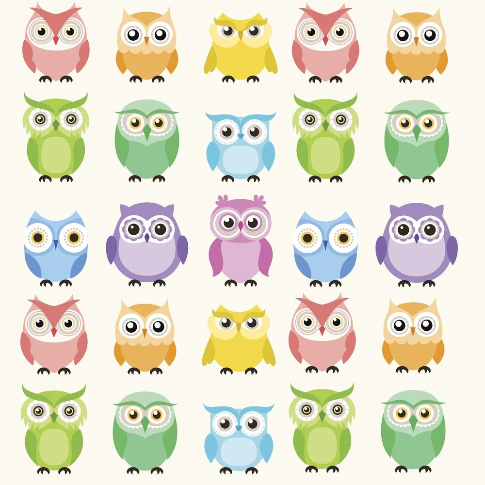 Colorful Owl Fabric - Multi