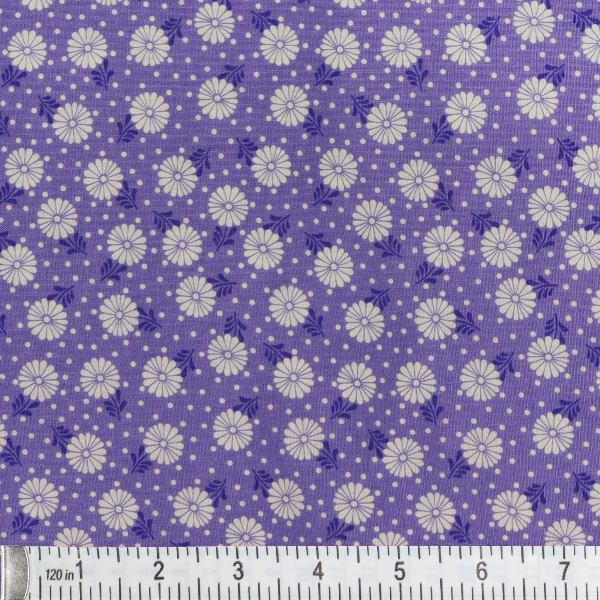 Cozy Cats Fabric Collection - Sunshine Zinnia Violet - Image 3