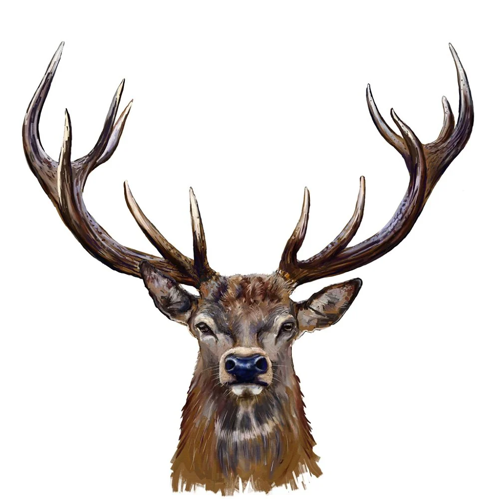 Deer Head Portrait Fabric Panel - Brown