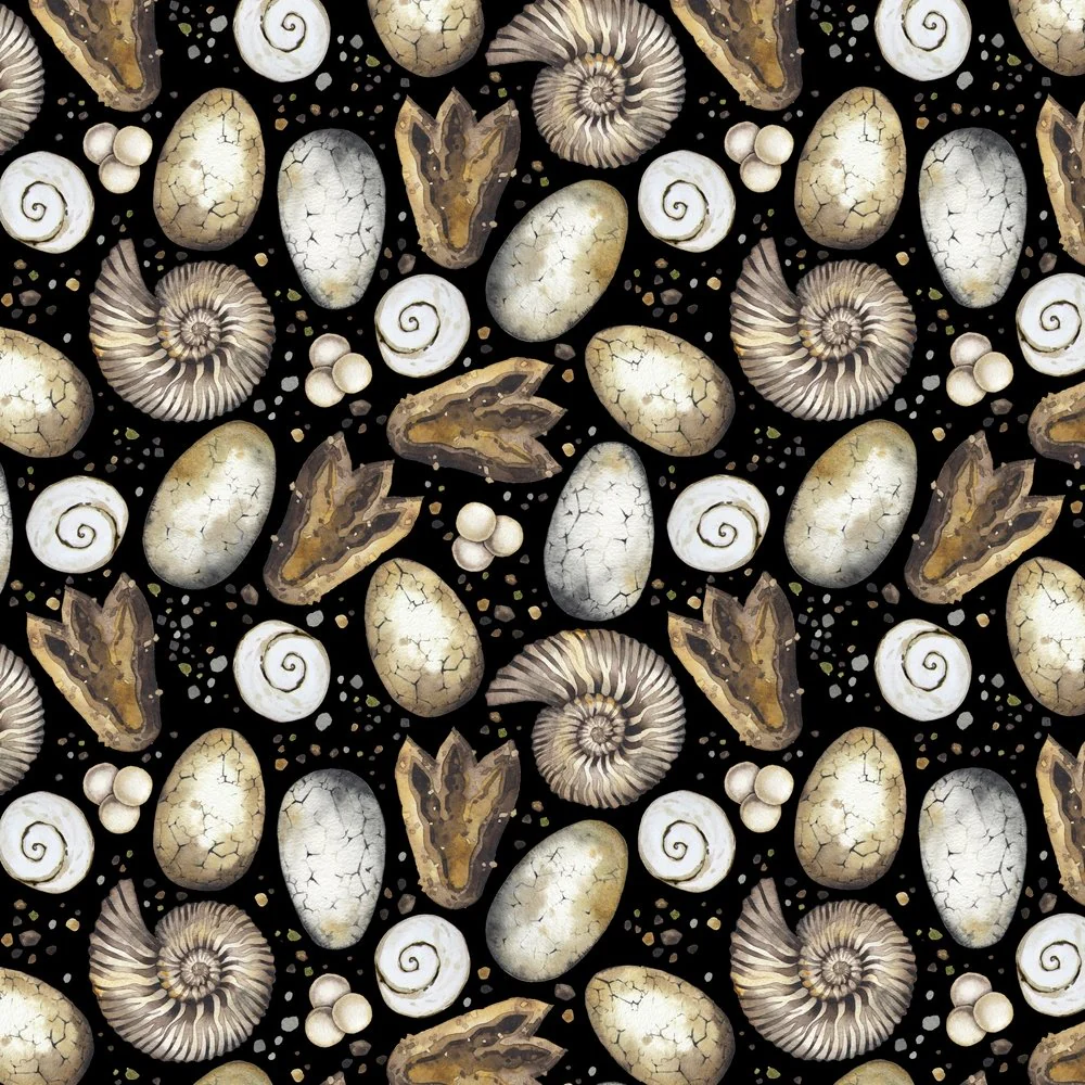 Dinosaur Fossils Fabric - Black