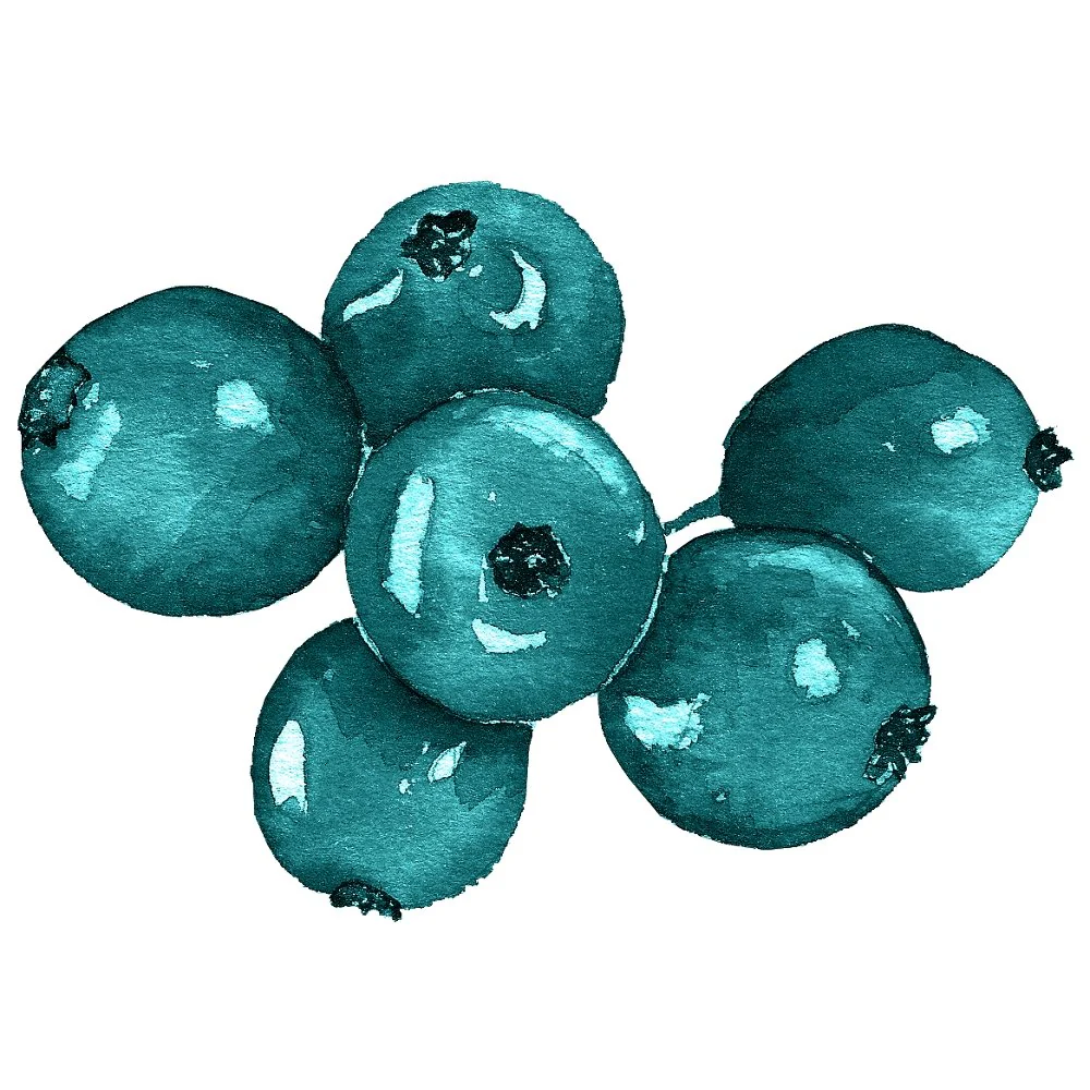 Elegant Nutcracker Christmas Berries Fabric Panel - Blue