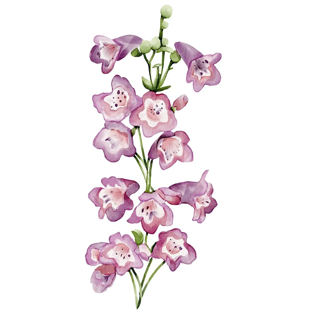 English Garden Fox Glove Fabric Panel