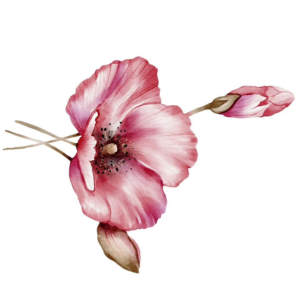 English Garden Poppies Fabric Panel