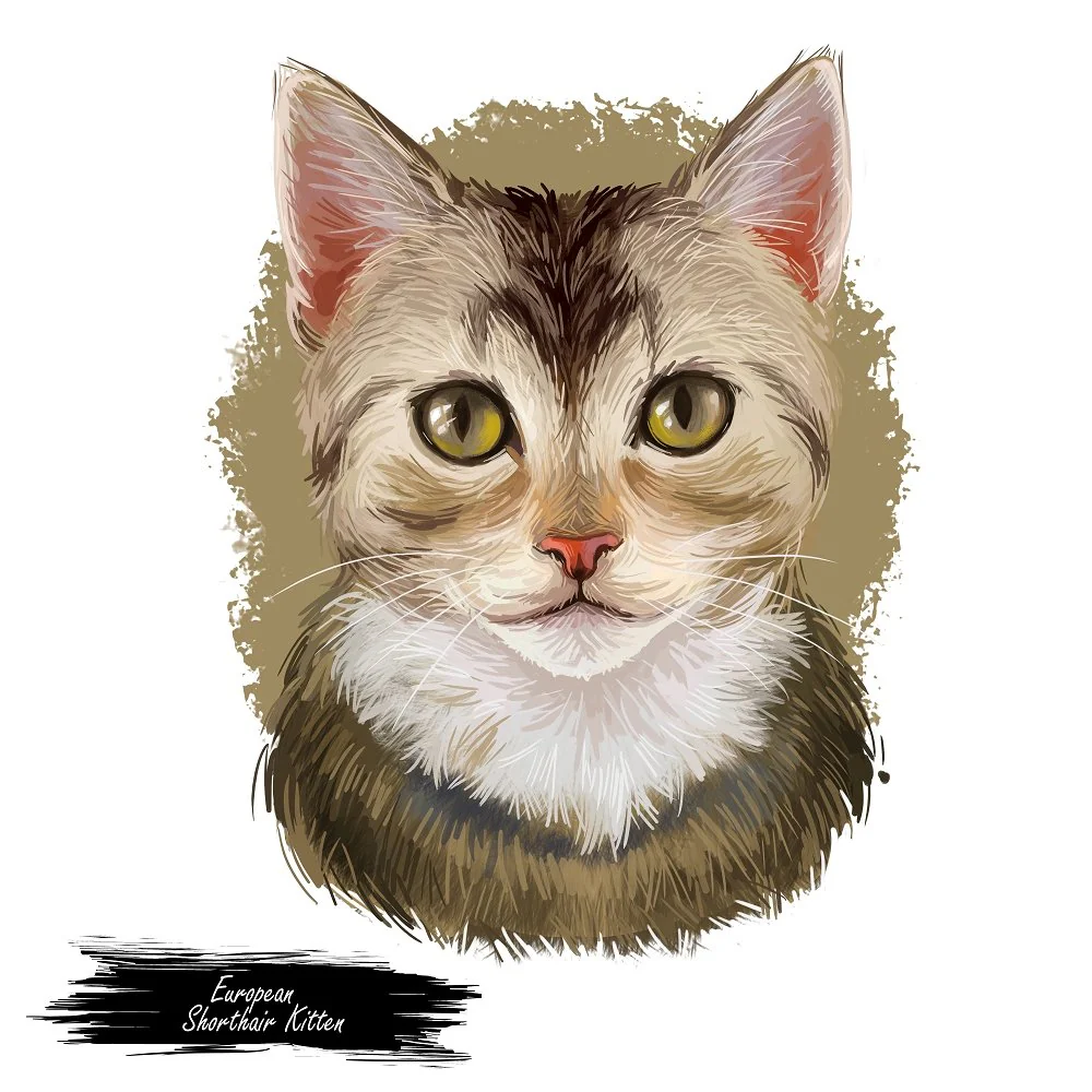 European Shorthair Kitten Portrait Fabric Panel