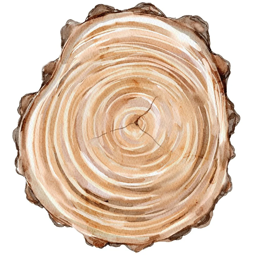 Evergreen Forest Log #2 Fabric Panel