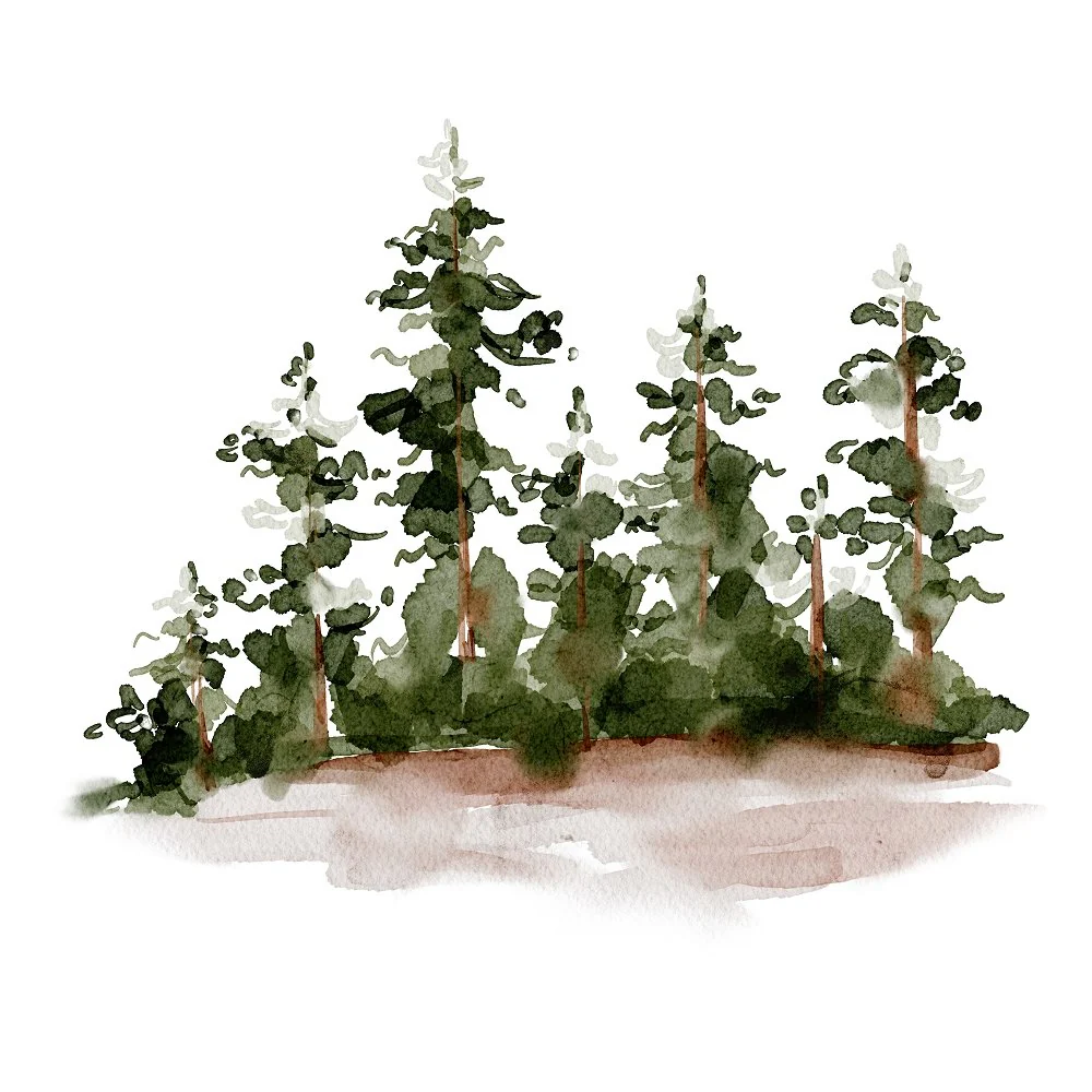 Evergreen Forest Scene #8 Fabric Panel