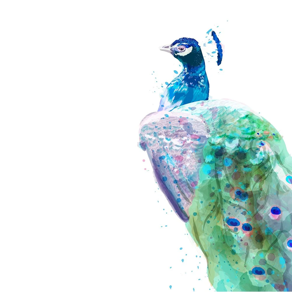 Exotic Peacock Fabric Panel