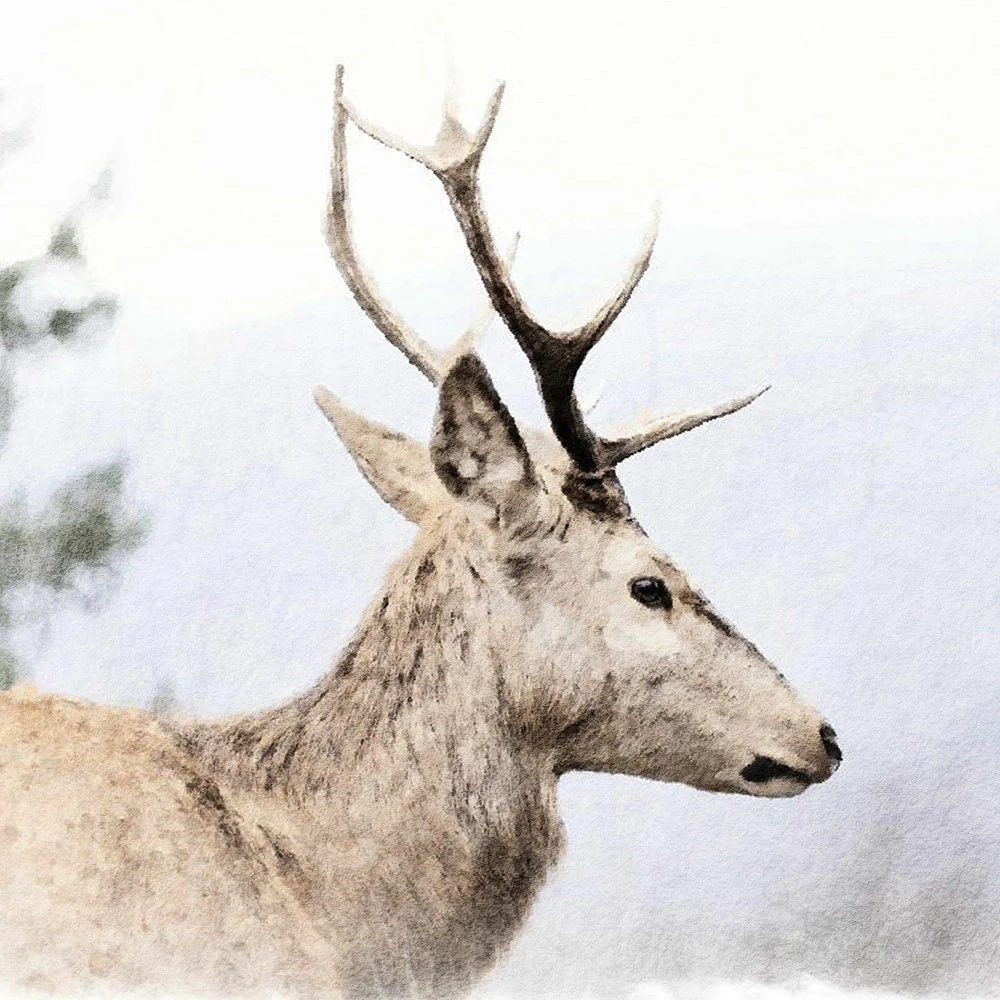 Faded Deer Portraits #1 Fabric Panel