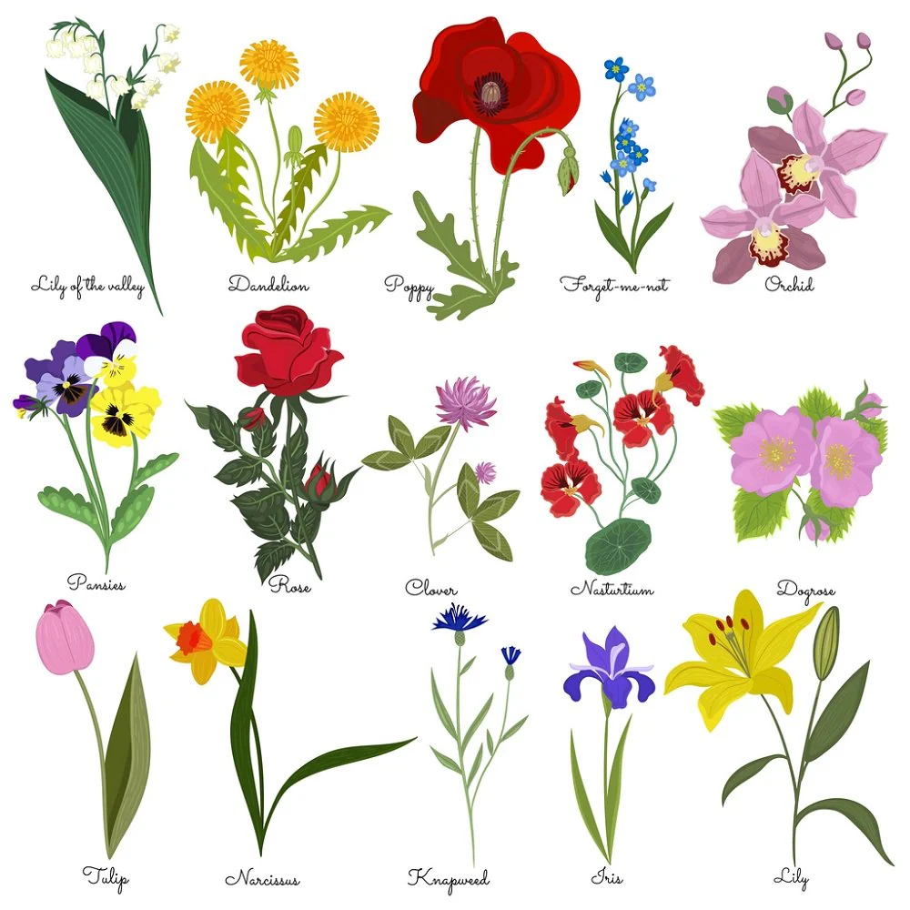 Flower Diagram Fabric Panel - Multi