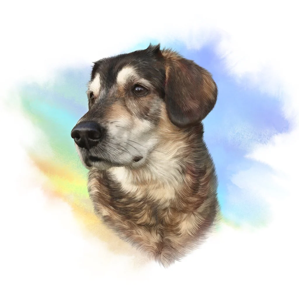Fluffy Brown Dog Portrait Fabric Panel