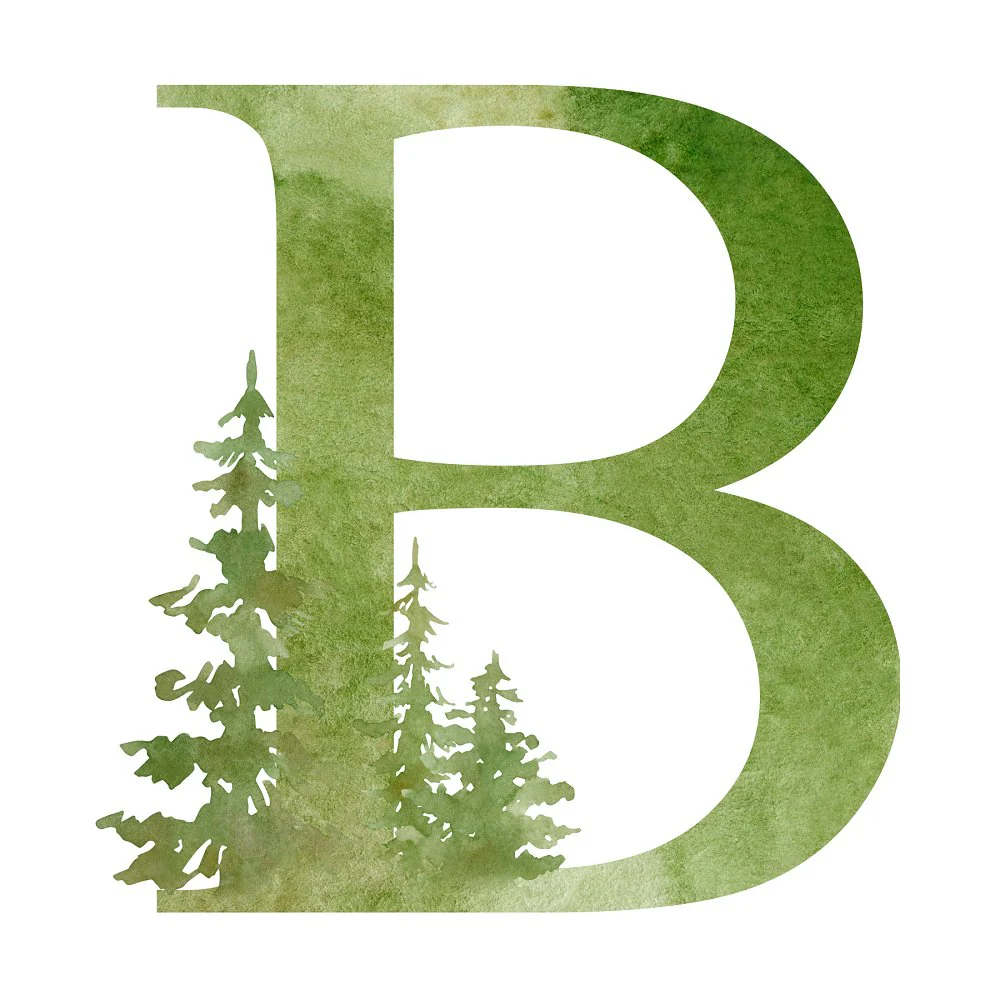 Foggy Forest B Fabric Panel
