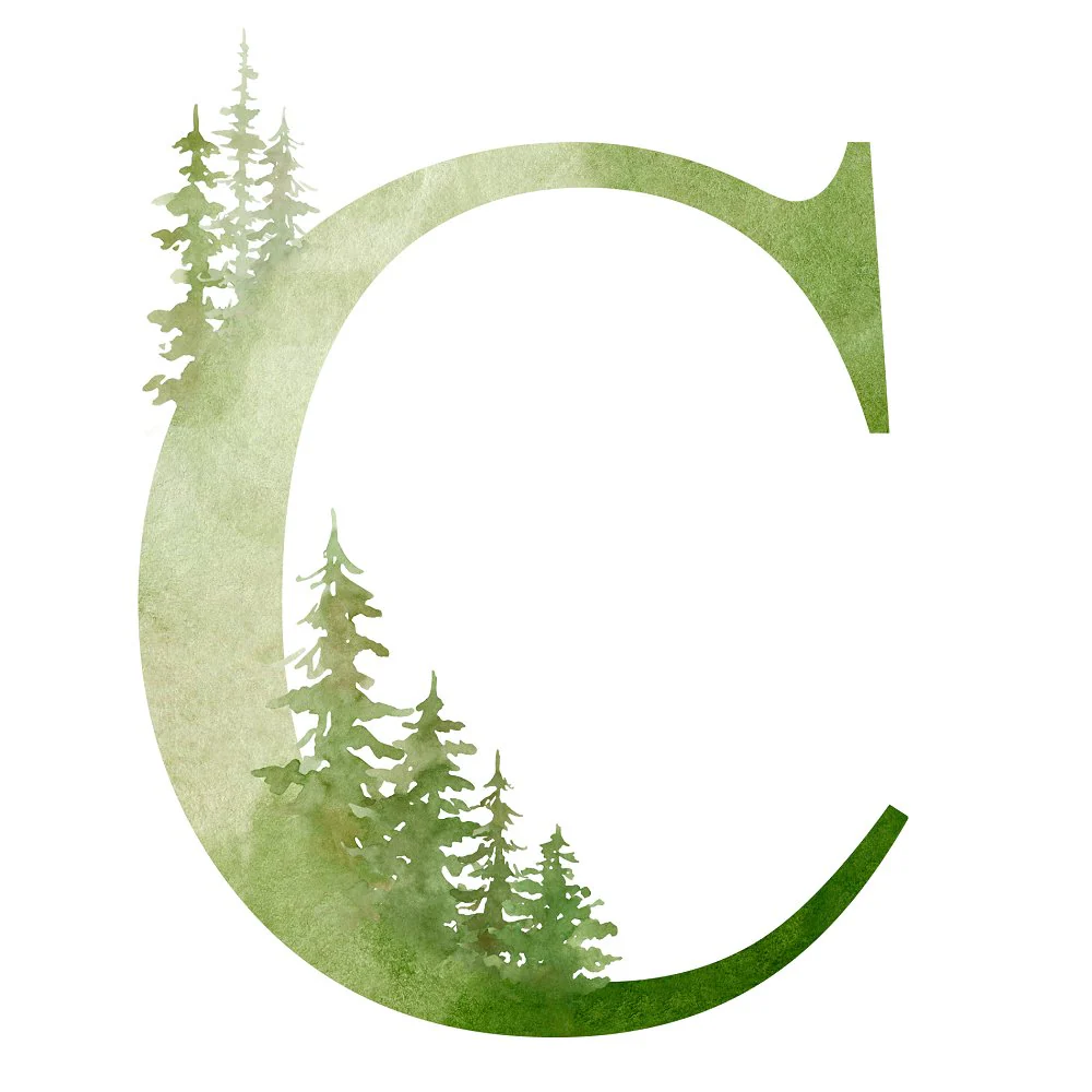 Foggy Forest C Fabric Panel