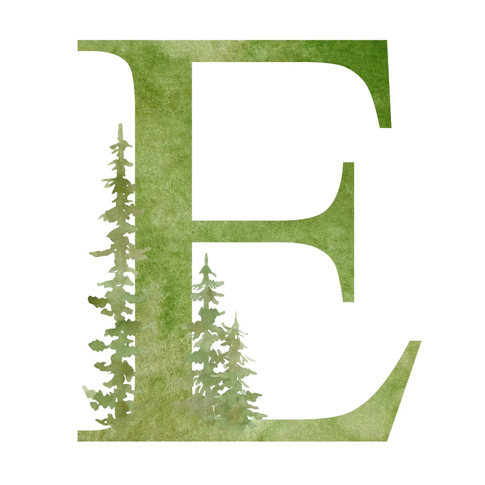 Foggy Forest E Fabric Panel