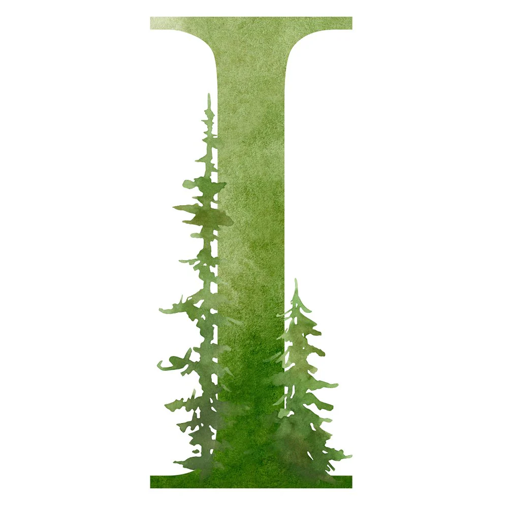 Foggy Forest I Fabric Panel