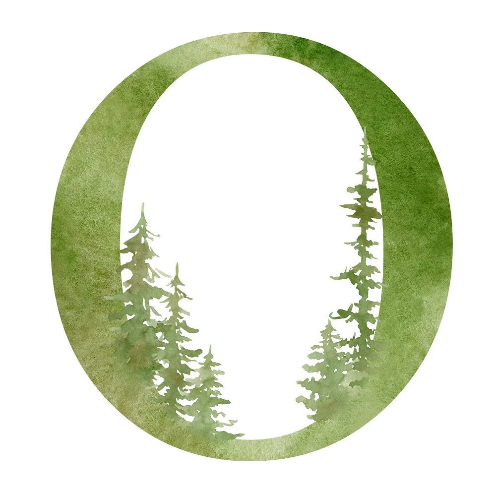 Foggy Forest O Fabric Panel