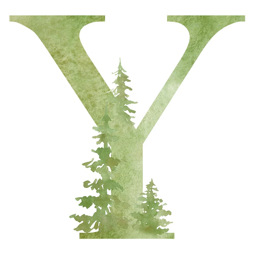 Foggy Forest Y Fabric Panel