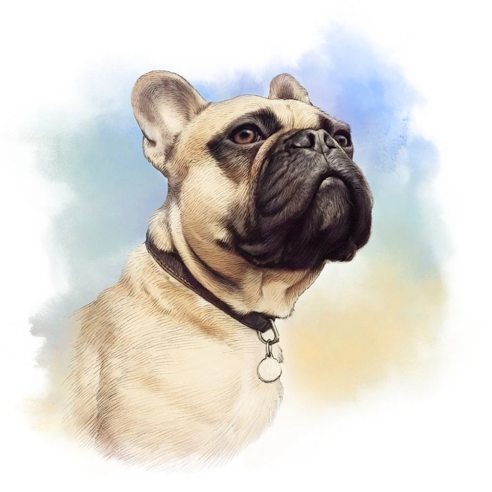 French Bulldog Portrait Fabric Panel - Multi