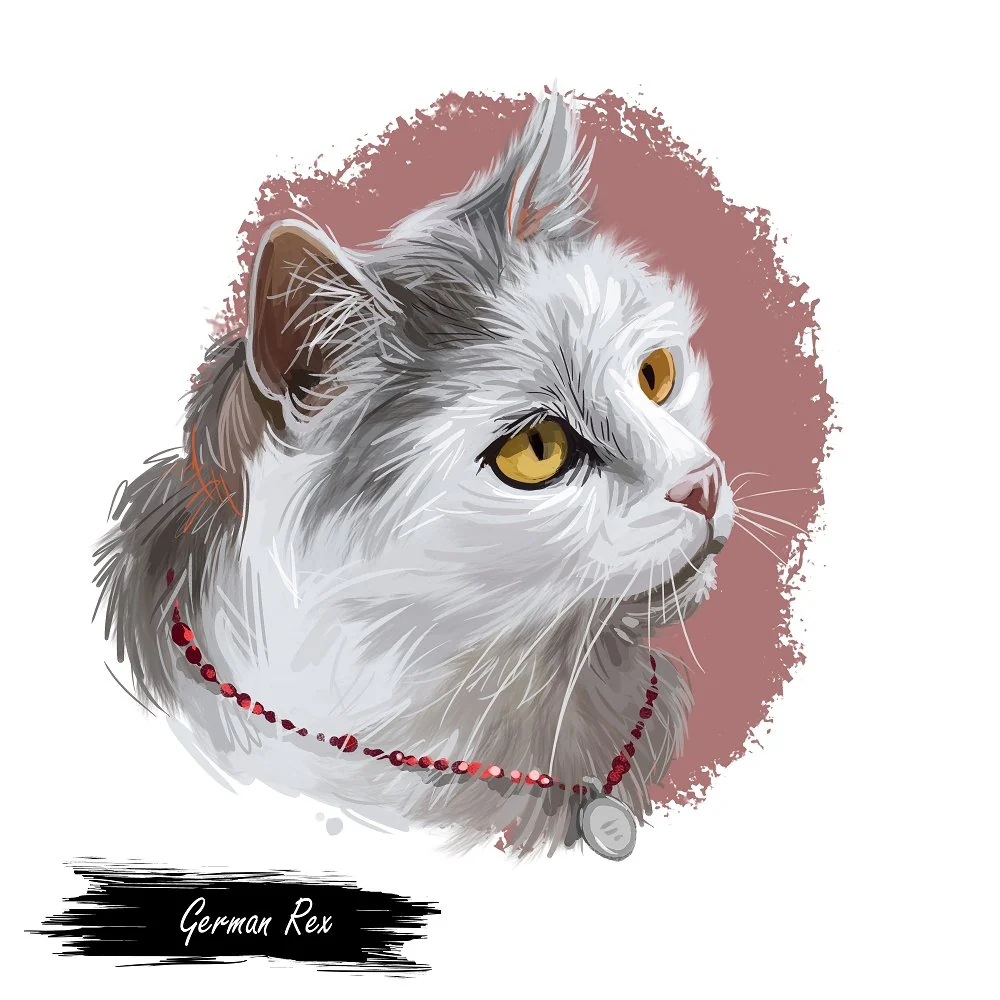 German Rex Kitten with Necklace Portrait Fabric Panel