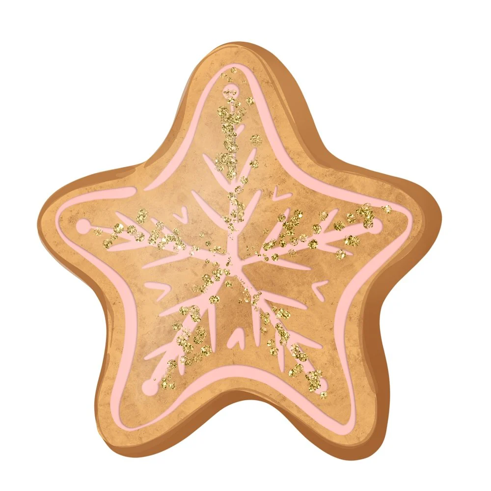 Gingerbread Star Fabric Panel - Pink