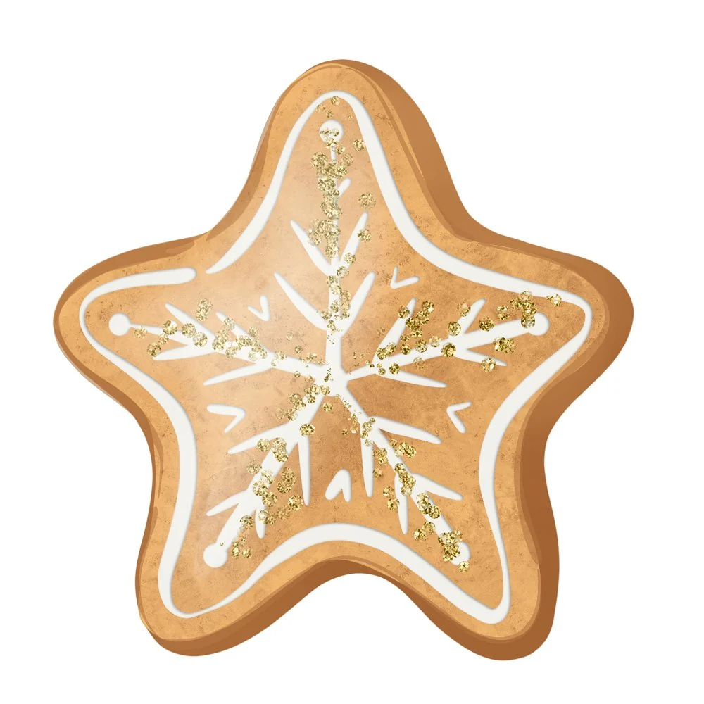 Gingerbread Star Fabric Panel - White