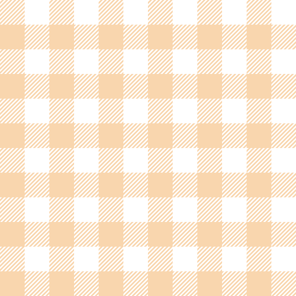 Gingham Fabric - Pizazz Peach