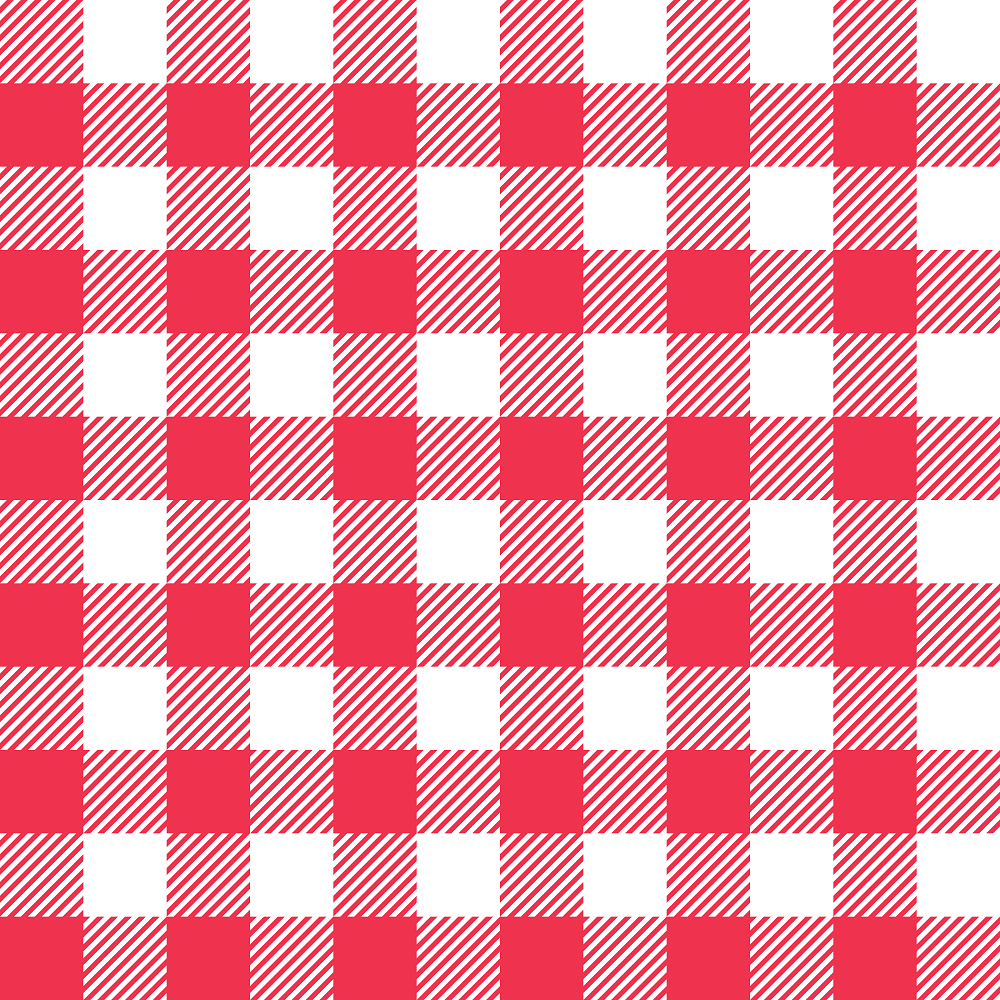 Gingham Fabric - Red