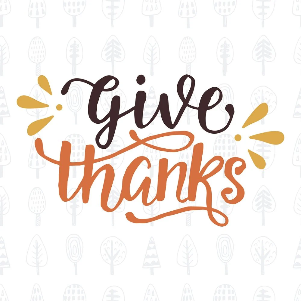 Give Thanks Fabric Panel - Multi