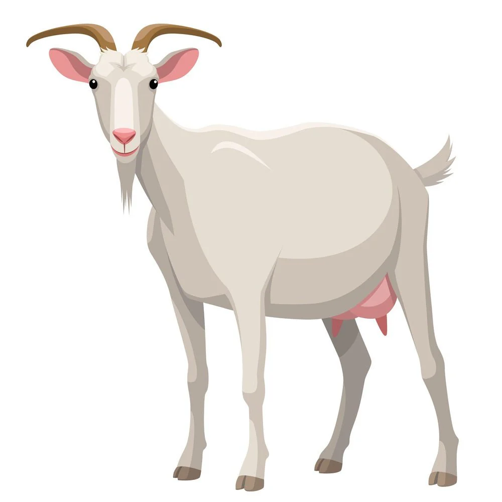 Goat Posing Fabric Panel