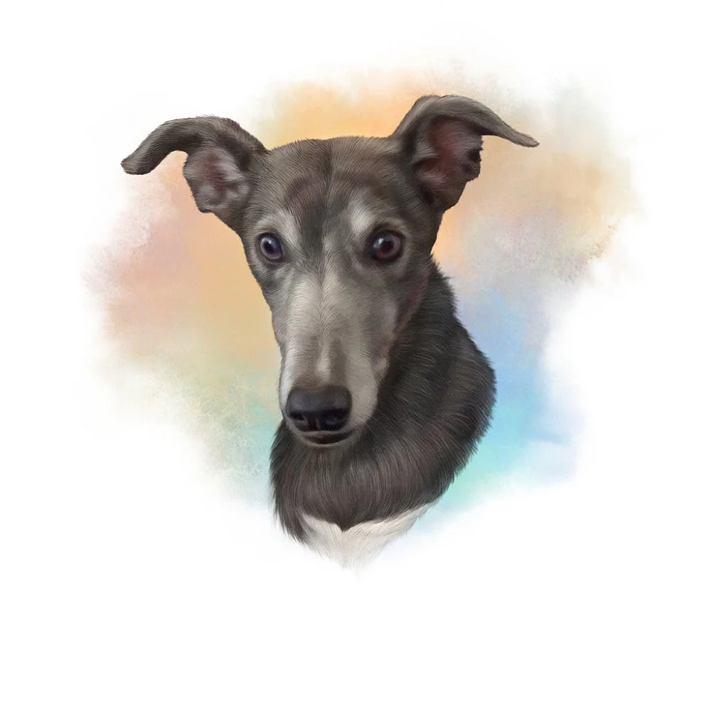 Greyhound Portrait Fabric Panel - Multi