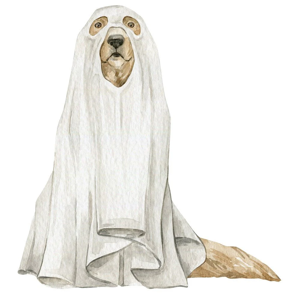Halloween Still Life Ghost Dog #2 Fabric Panel