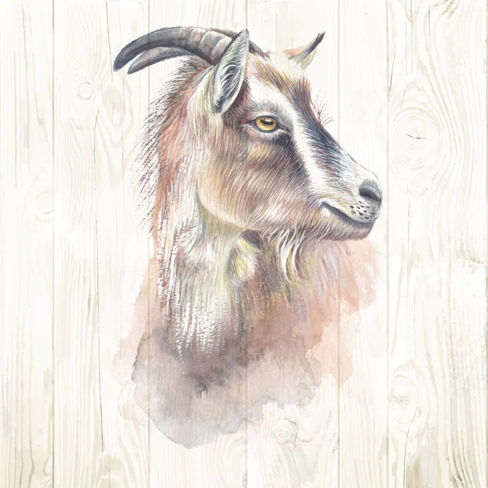 Hand Drawn Goat with Horns on Wood Fabric Panel