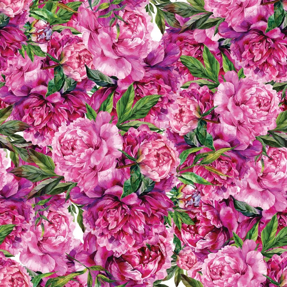 Hand Drawn Rose Peonies - Dark Pink