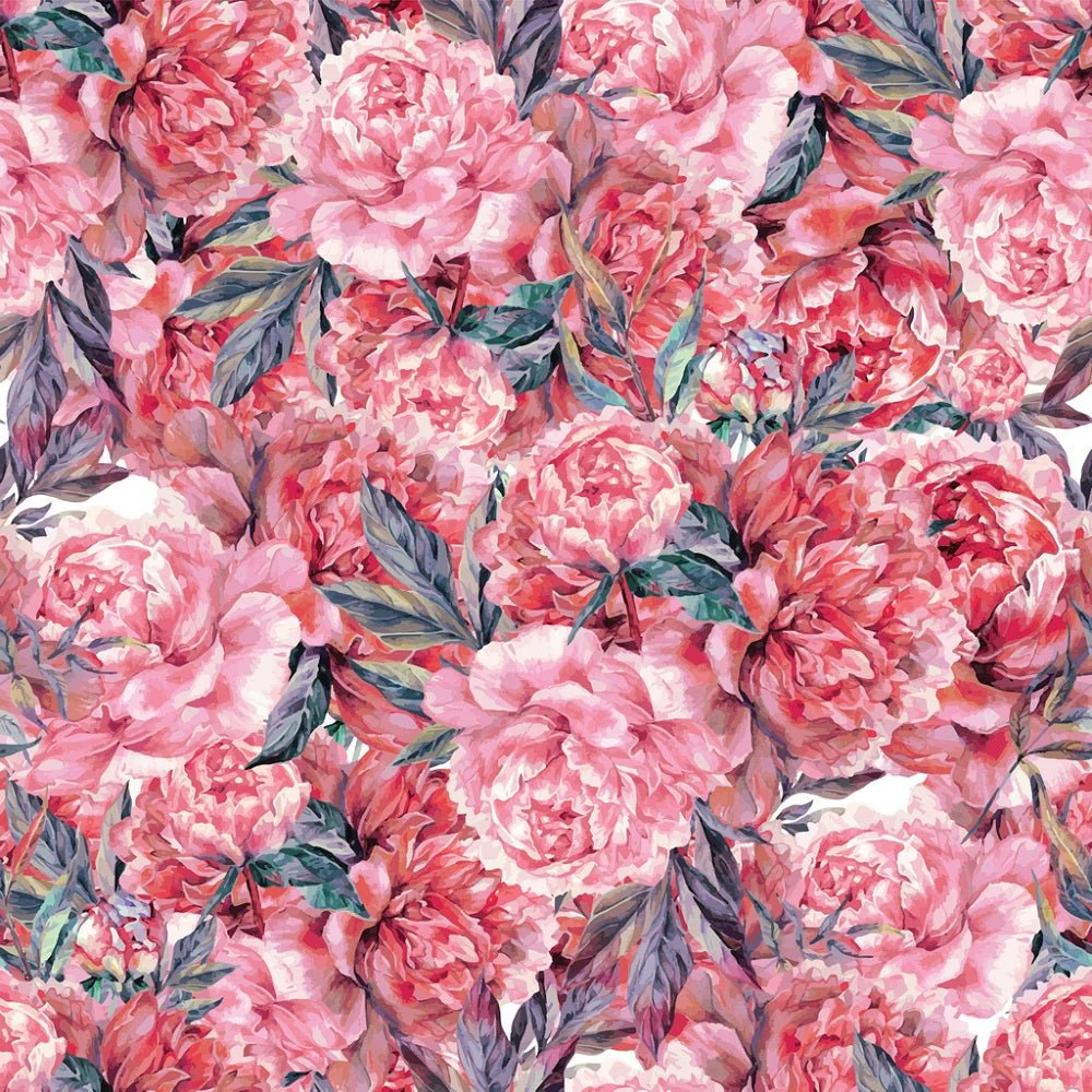 Hand Drawn Rose Peonies - Light Pink