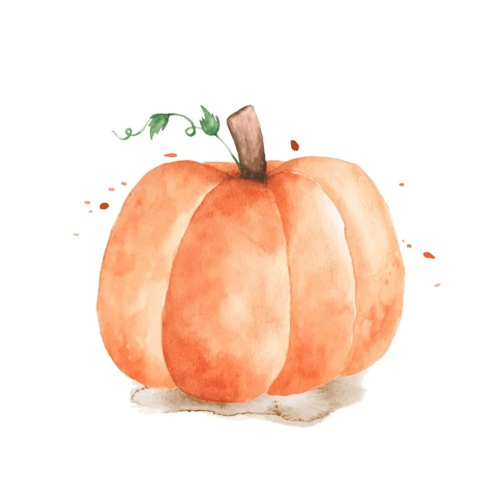 Hand Painted Pumpkin Fabric Panel - Orange