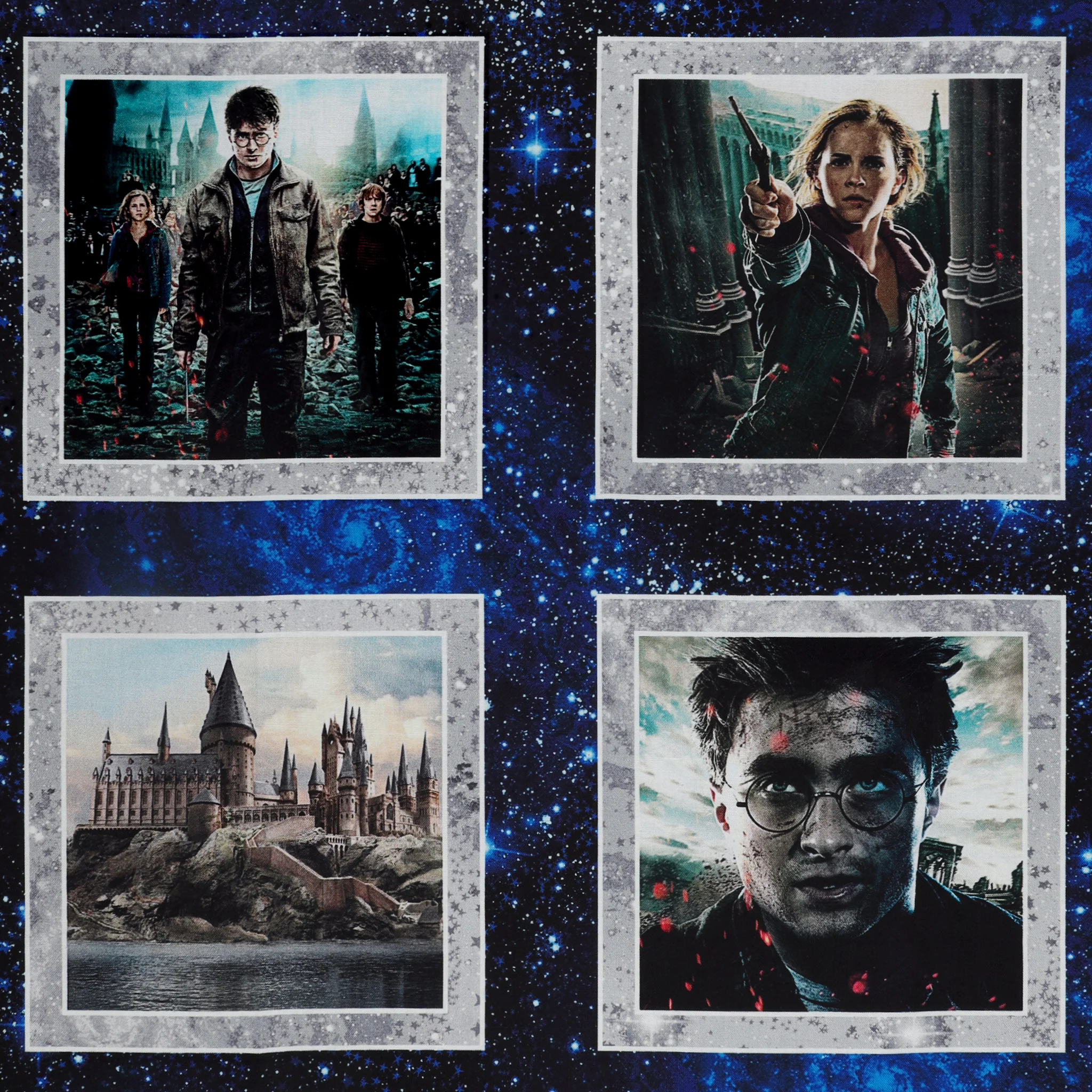 Harry Potter Fabric Collection - Wizarding Boxes Panel - Image 5