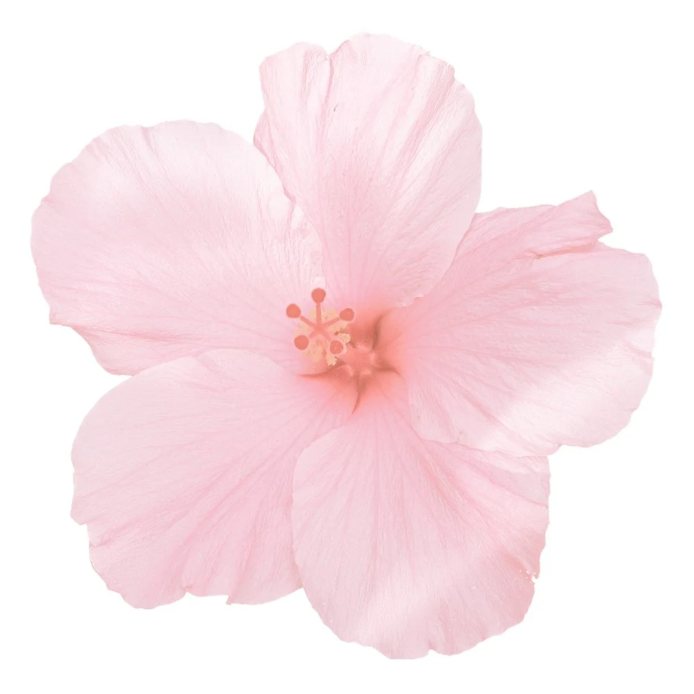 Hawaiian Hibiscus Flower Fabric Panel