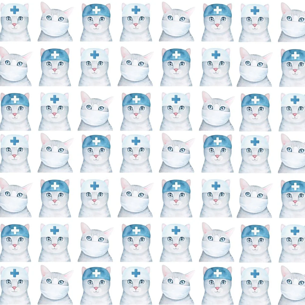 Health Care Kitten Fabric - White