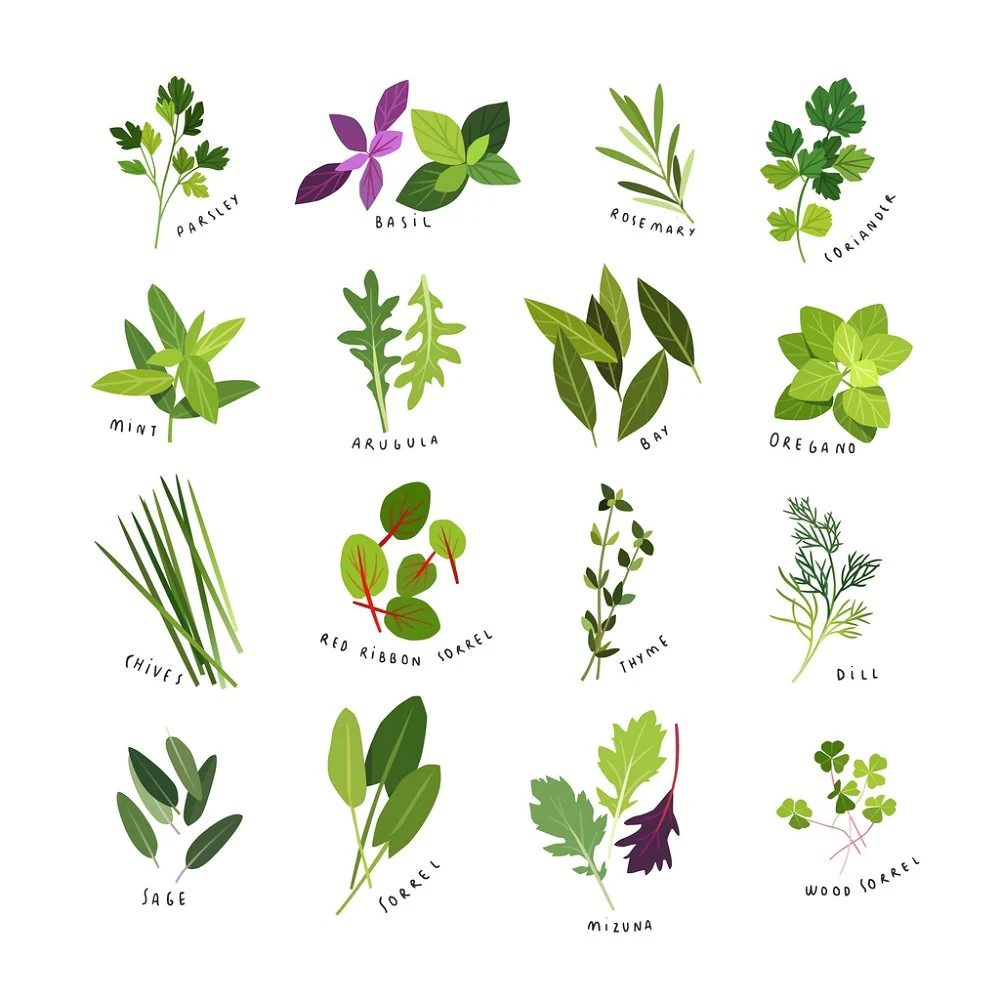 Herbs & Spices Fabric Panel - White