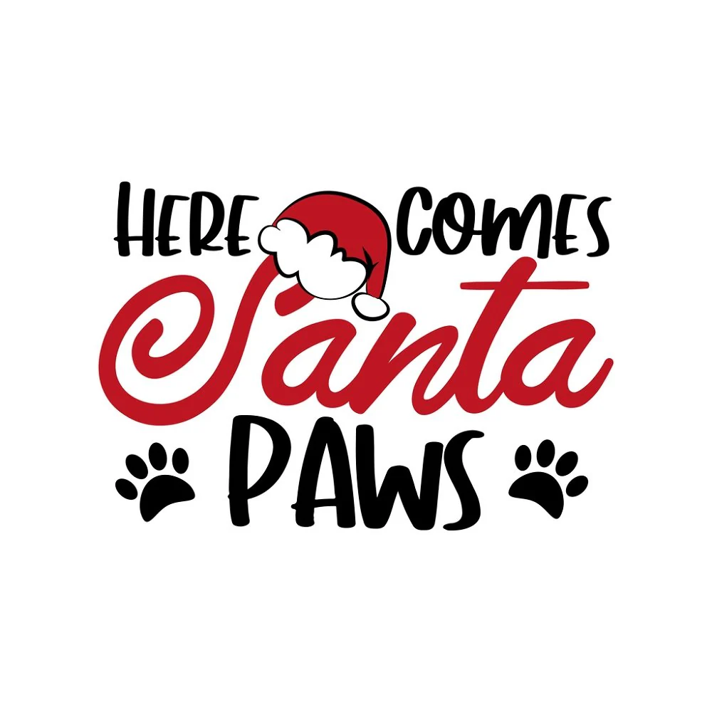 Here Comes Santa Paws Fabric Panel