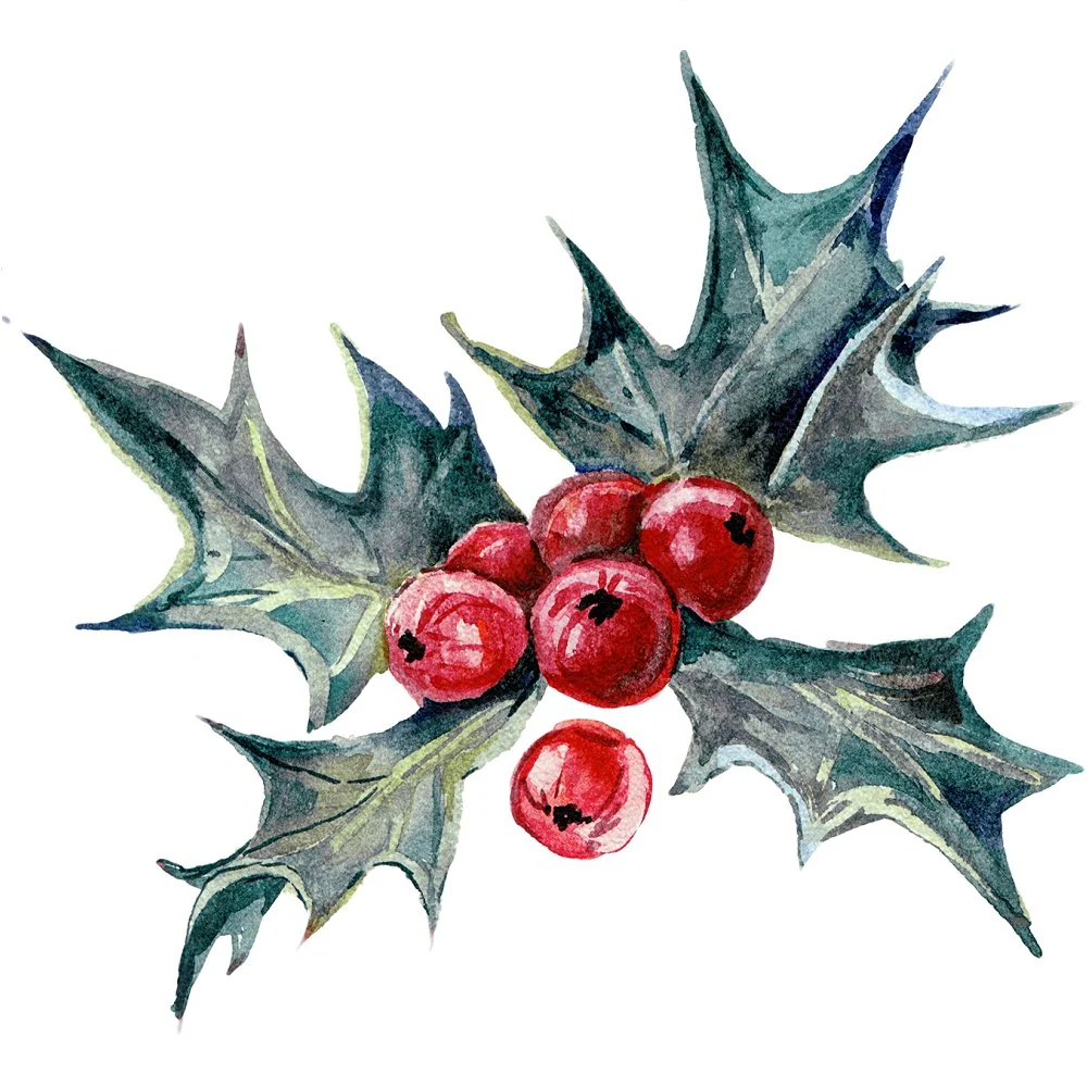 Holly Berry Plant Style #2 Fabric Panel