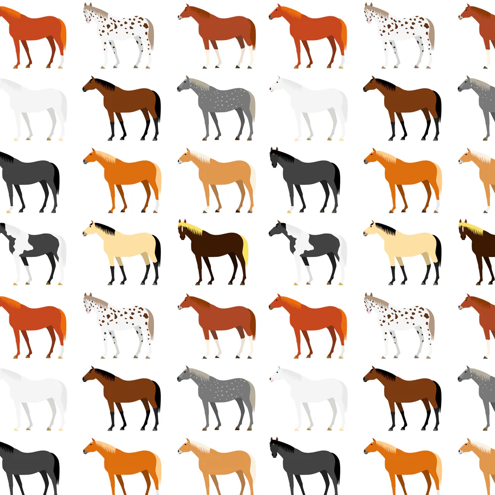 Horse Breed Fabric - Multi