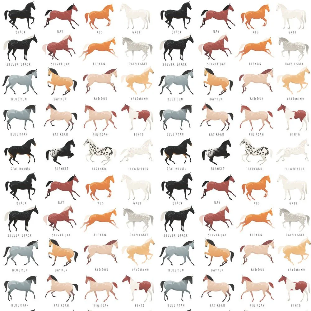 Horse Coat Colors Fabric